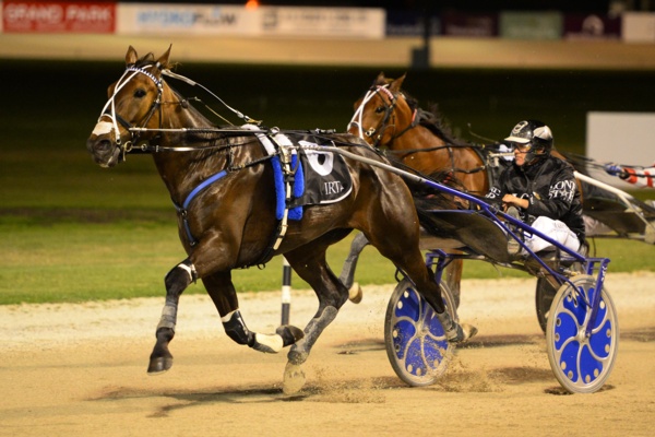 purdon-dunn-butcher-among-stood-down-in-kiwi-covid-19-caution