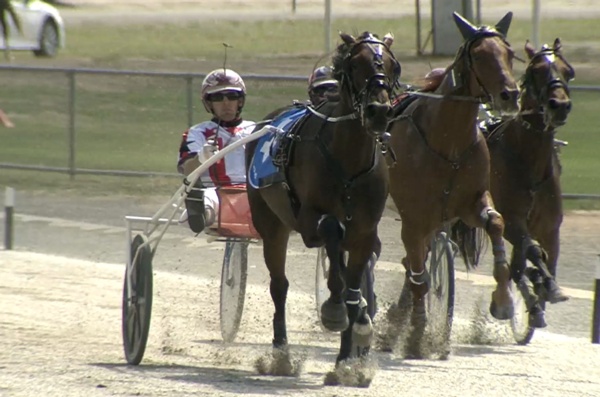 second-svanosio-contender-emerges-as-magicool-notches-third-cup