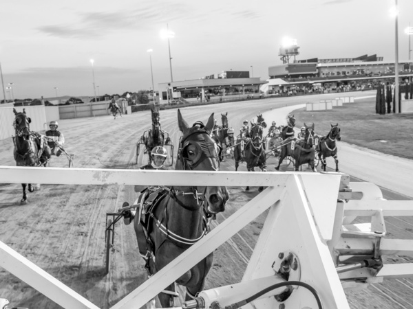 hrv-vhrc-sign-new-media-partnership