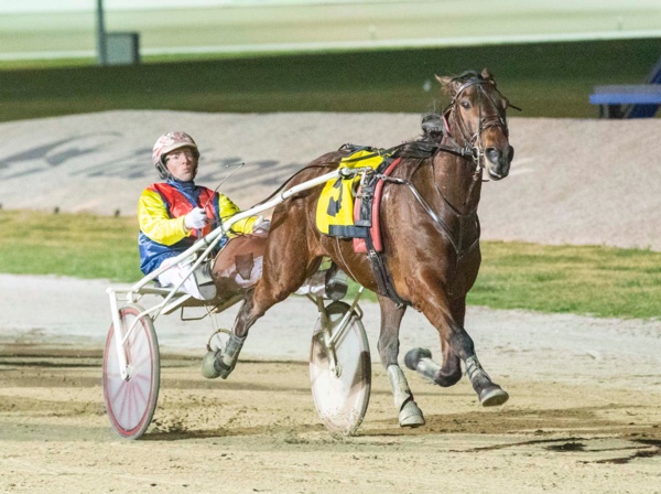 trots-centre-meade-chases-more-success-with-little-bro-to-debut