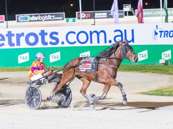 trots-centre-nev-retakes-the-reins-and-is-ready-to-shine