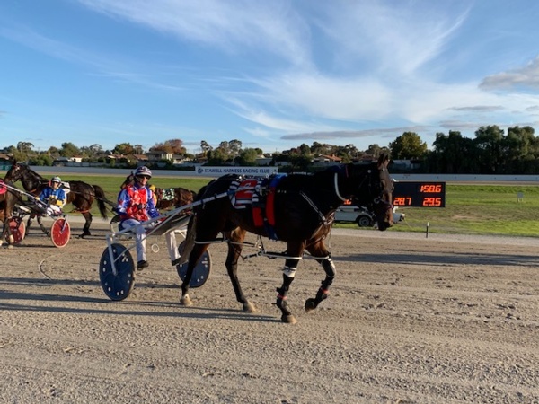 trots-review-manning-campbell-star-at-stawell