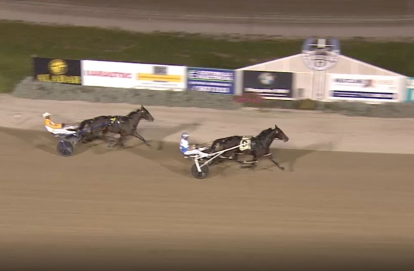 trots-review-champion-4yos-winning-return