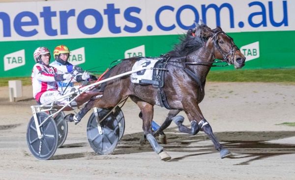 trots-review-treble-for-svanosio-as-trot-light-heads-to-cranny