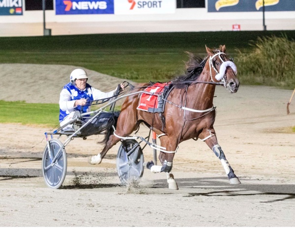 charlies-horse-muscles-up-with-eye-catching-melton-win