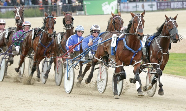 vri-gives-green-light-to-saturday-morning-trots