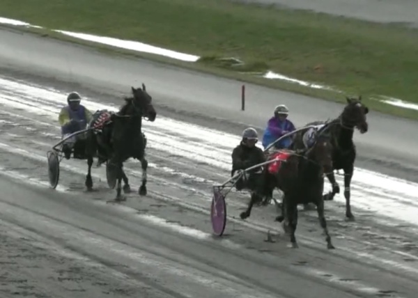 trots-centre-trots-again-a-staple-of-lukes-diet-as-filly-debuts