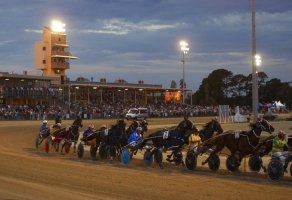 transfer-of-horses-during-region-based-racing