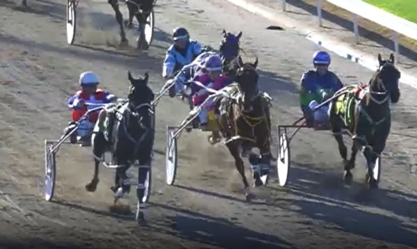 trots-centre-lucas-has-winkle-in-his-eye-as-stable-crashes-line