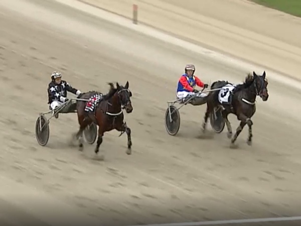 trots-centre-webster-having-a-debutant-ball-as-2yos-trot-out