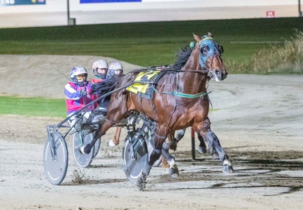 trots-review-stewart-soars-as-major-melton-day-sign-of-the-times