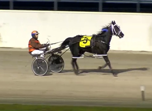 trots-centre-nz-purchase-poetry-in-motion-for-terangs-mcleans