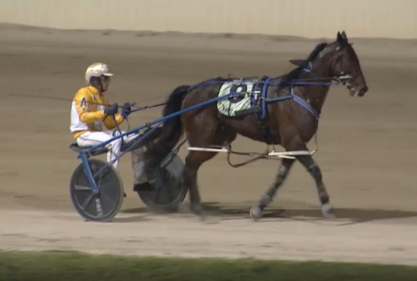trots-centre-aiken-ready-to-bring-it-with-us-bound-kiwi