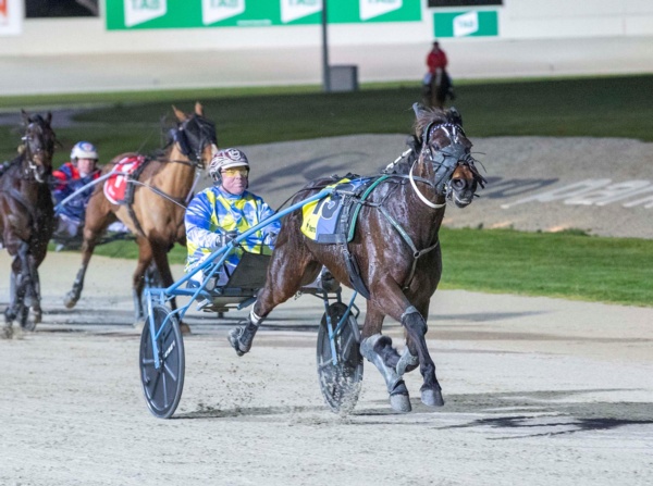 breeders-crown-champ-retired-after-injury-stops-trotter