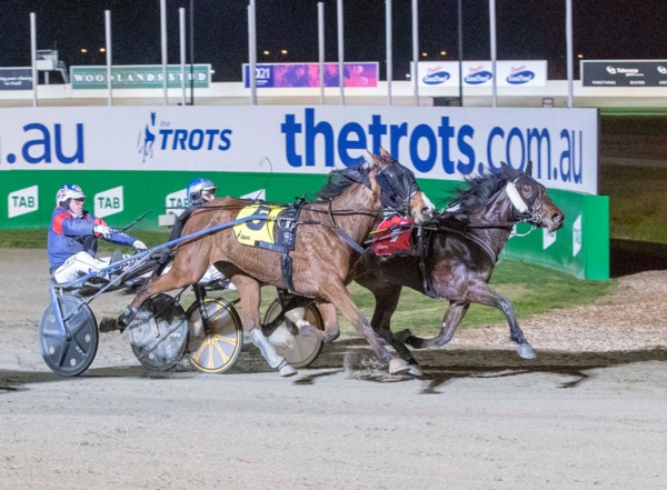 trots-centre-charlotte-ready-to-make-royal-ascent