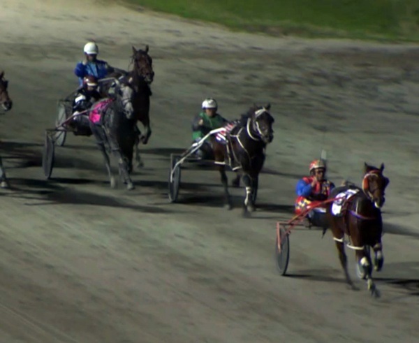 trots-centre-a-good-brew-talking-hold-at-bendigo