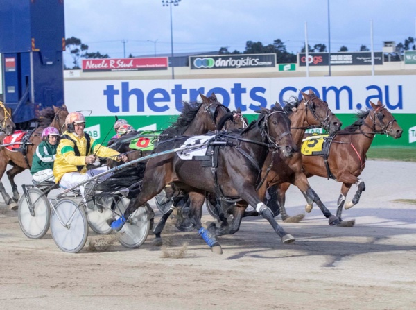 trots-centre-no-fear-for-lyndals-boy-from-the-bush