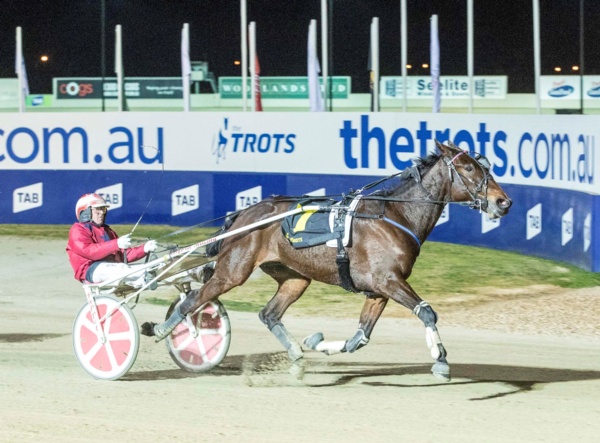trots-centre-kheiron-returns-to-life-in-the-fast-lane