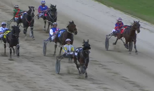 trots-centre-trainer-hopes-to-make-mark-with-home-bred-honest-horse