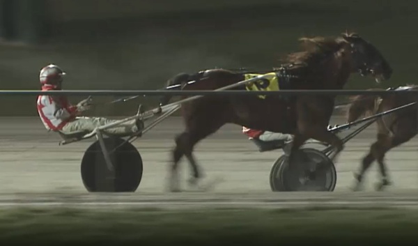 trots-centre-alford-ready-for-easts-release-ahead-of-kilmore-hit-out