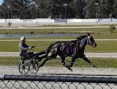 trots-centre-scott-rains-in-another-project-as-mare-gets-chance