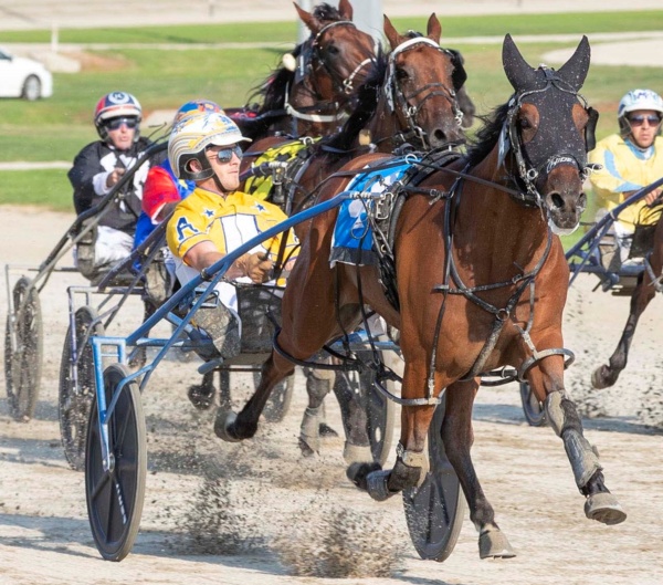 trots-centre-josh-ready-to-drop-the-hammer-on-metro-quality-horses