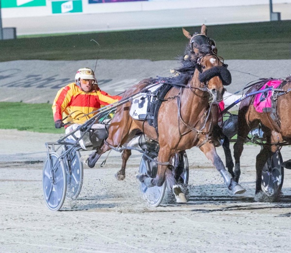 trots-centre-miles-had-good-region-to-celebrate-as-starzzz-return