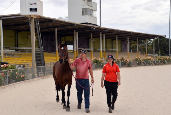 trots-centre-mick-and-denbeigh-find-ton-of-reasons-to-move-on