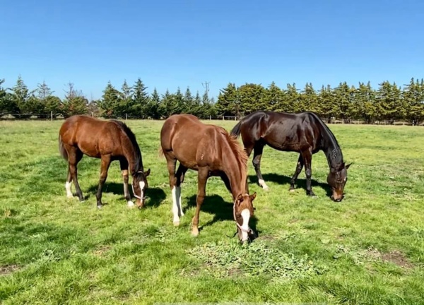 hrv-hero-beach-boy-doing-a-thoroughly-good-job-post-racing