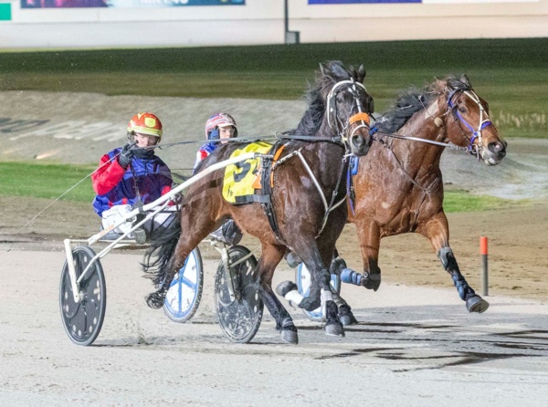 trots-review-the-herbs-big-buzz-as-jay-jays-back