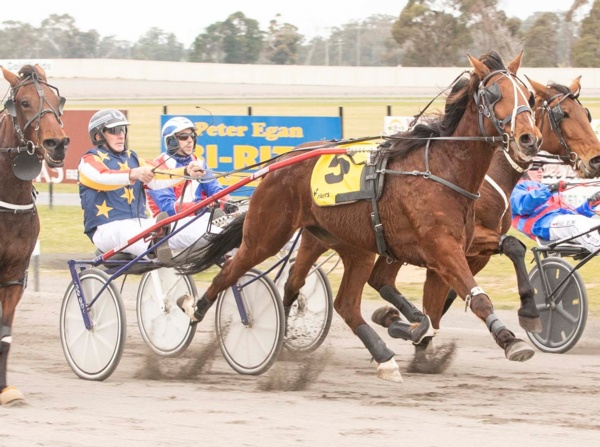 trots-centre-hayes-takes-ups-and-downs-of-emilios-stars-in-stride
