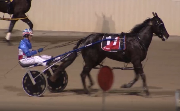 trots-centre-juanitas-louisiana-lass-a-hot-source-of-success