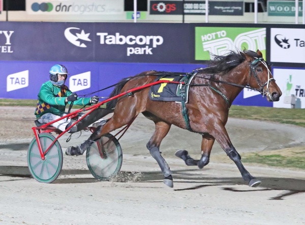 trots-centre-about-time-as-crews-ships-in-two-more-trotters