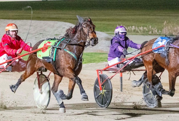 trots-centre-sofia-and-her-gem-gus-to-build-on-special-bond