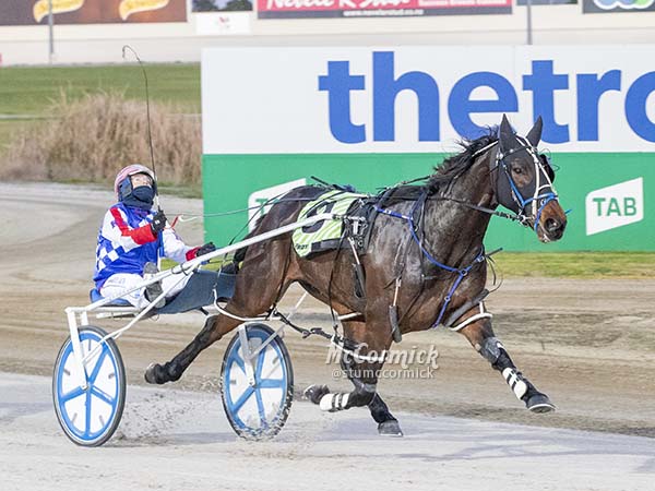 trots-review-kates-night-of-triumph-a-john-tee-tribute