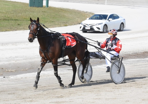 trots-centre-charlenes-mares-helping-her-take-flight