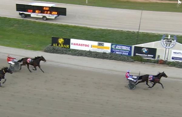 trots-centre-bettor-late-than-never-for-this-lady