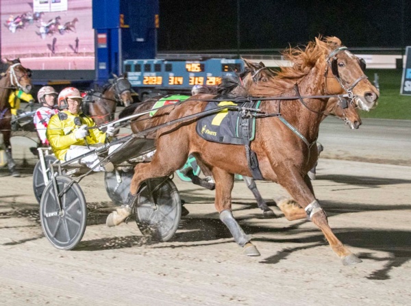 premier-trotting-sale-noms-close-this-friday