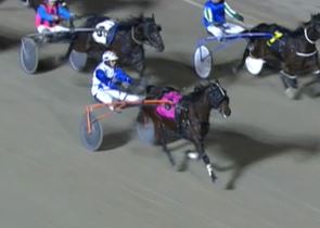 trots-centre-winning-just-the-cream-on-top-for-colin