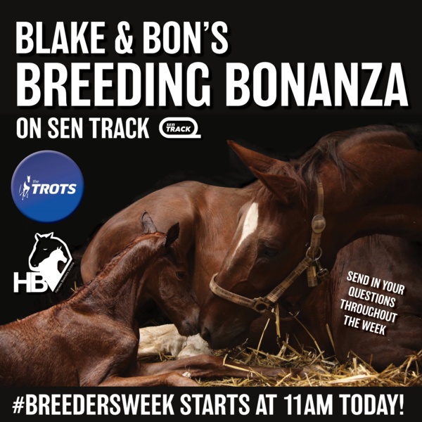 blake-and-bon-talk-breedersweek-on-sentrack