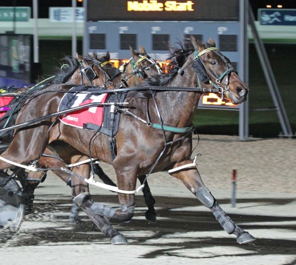 trots-centre-josh-eager-to-test-sirletic-against-high-watermark