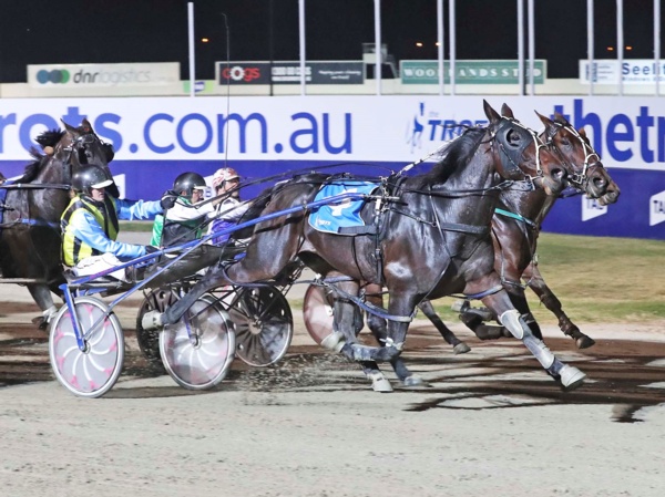trots-centre-demmler-hoping-for-something-to-smile-about
