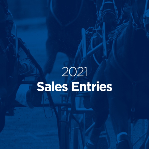 australasian-premier-trotting-sale-2021-entries