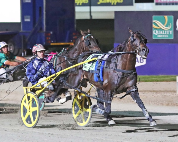 trots-centre-mister-has-new-master-as-wickham-joins-svanosio