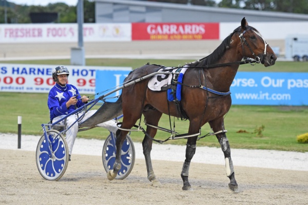 nz-tonight-purdon-has-faith-his-3yo-can-bug-krug