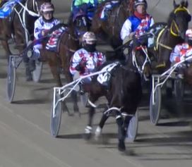 trots-centre-svanosio-dreamz-of-bettor-second-up
