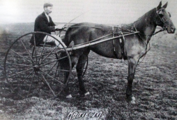 trots-history-the-bendigo-jockey-club-open-part-2-boom-times