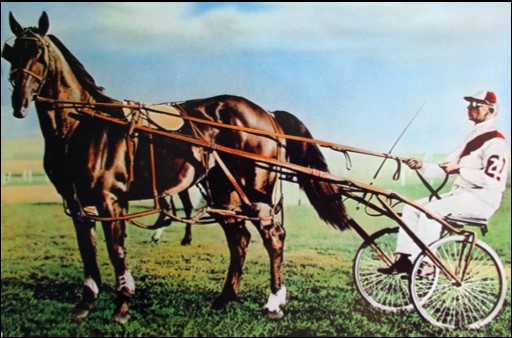 trots-history-bendigo-jockey-club-open-part-3-hall-of-famers-to-the-fore