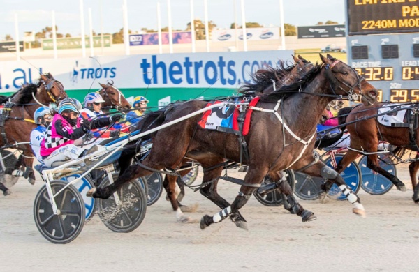 trots-review-party-begins-with-olivias-100-1-winner