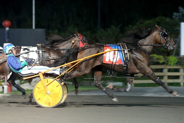 venerate-captures-inaugural-mohawk-million-for-aussie-reinsman